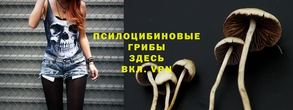индика Бронницы
