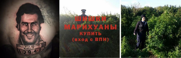 дмт Бородино