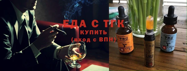 индика Бронницы