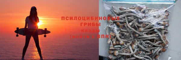 2c-b Бутурлиновка