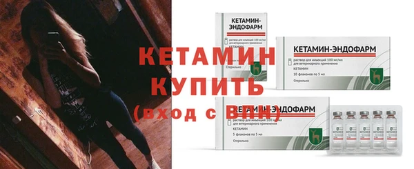 индика Бронницы