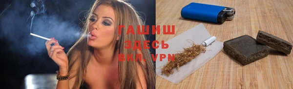 индика Бронницы