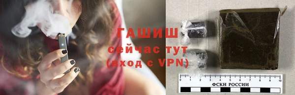 дмт Бородино