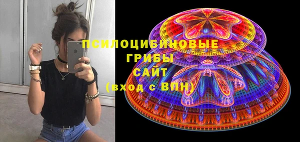 МДПВ Бугульма