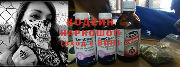 индика Бронницы