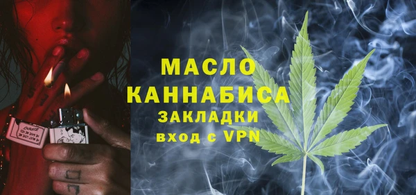 дмт Бородино