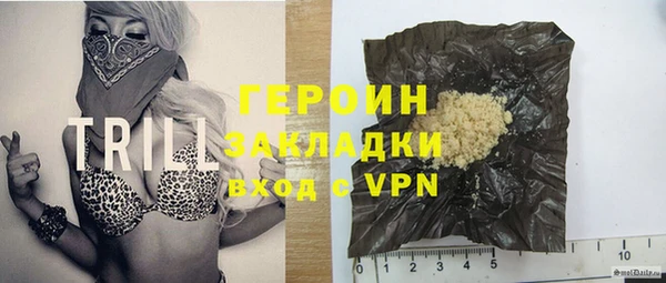 дмт Бородино