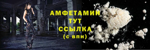дмт Бородино